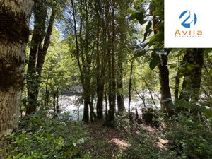 Curarrehue sector Carén Añihuarraqui venta parcela con acceso a río Trancura COD.VTAP144, La Araucanía, Curarrehue, foto 10