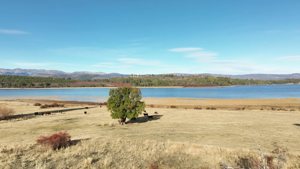 Campo de 410 ha con costa del Lago Lezana, Chubut, Cholila, foto 1