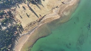 Campo de 410 ha con costa del Lago Lezana, Chubut, Cholila, foto 11