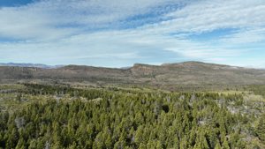 Campo de 410 ha con costa del Lago Lezana, Chubut, Cholila, foto 6