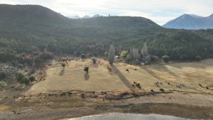 Campo de 410 ha con costa del Lago Lezana, Chubut, Cholila, foto 2