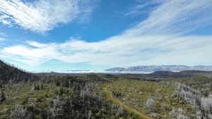 Campo de 410 ha con costa del Lago Lezana, Chubut, Cholila, foto 5