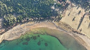 Campo de 410 ha con costa del Lago Lezana, Chubut, Cholila, foto 12