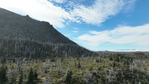 Campo de 410 ha con costa del Lago Lezana, Chubut, Cholila, foto 4