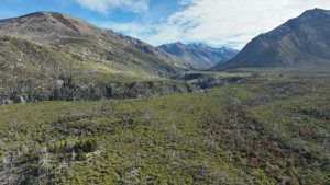 Campo de 410 ha con costa del Lago Lezana, Chubut, Cholila, foto 10