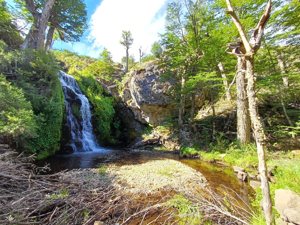 Campo 2186 has Corcovado, Chubut, Corcovado, foto 9