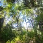 Campo de 64 Has en El Hoyo, Chubut, El Hoyo, foto 4