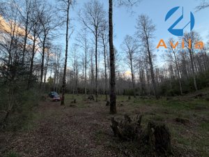 Pucón Parcela de 10.537m2 Loteo Hacienda Trancura Quilaco COD.VTAP286, La Araucanía, Pucón, foto 12