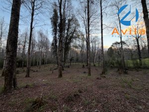 Pucón Parcela de 10.537m2 Loteo Hacienda Trancura Quilaco COD.VTAP286, La Araucanía, Pucón, foto 10