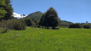 Campo de 201 hectáreas en El Huemul, Los Lagos, Futaleufú, foto 5