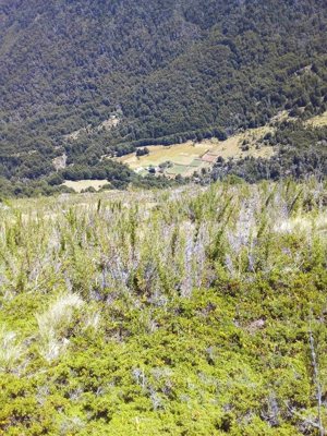 Campo de 201 hectáreas en El Huemul, Los Lagos, Futaleufú, foto 10