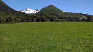 Campo de 201 hectáreas en El Huemul, Los Lagos, Futaleufú, foto 3