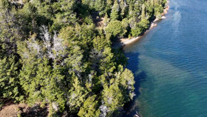 Campo de 4.200 ha con costa de Lago Rosario, Chubut, Trevelin, foto 6