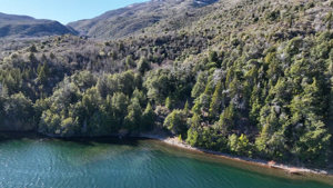 Campo de 4.200 ha con costa de Lago Rosario, Chubut, Trevelin, foto 7
