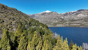 Campo de 4.200 ha con costa de Lago Rosario, Chubut, Trevelin, foto 5
