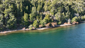 Campo de 4.200 ha con costa de Lago Rosario, Chubut, Trevelin, foto 8