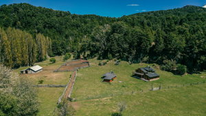 Fracción con costa de lago, frente a Isla Victoria, Río Negro, San Carlos de Bariloche, foto 2