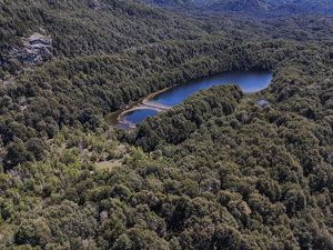 Fracción con costa de lago, frente a Isla Victoria, Río Negro, San Carlos de Bariloche, foto 5