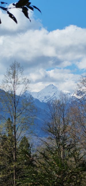 Última Oportunidad de inversión cerca de Pucón - Parcela 5.000 m², La Araucanía, Pucón, foto 6