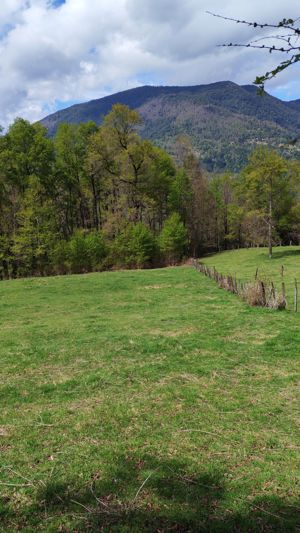 Última Oportunidad de inversión cerca de Pucón - Parcela 5.000 m², La Araucanía, Pucón, foto 8