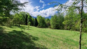 Última Oportunidad de inversión cerca de Pucón - Parcela 5.000 m², La Araucanía, Pucón, foto 9