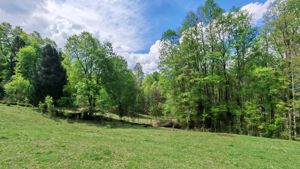 Última Oportunidad de inversión cerca de Pucón - Parcela 5.000 m², La Araucanía, Pucón, foto 10