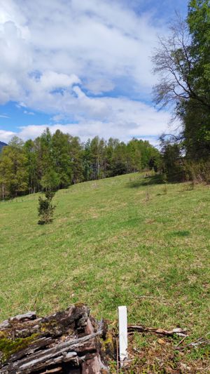 Última Oportunidad de inversión cerca de Pucón - Parcela 5.000 m², La Araucanía, Pucón, foto 7