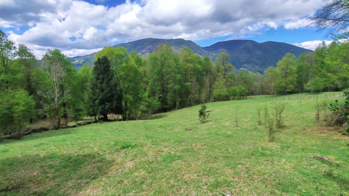 Última Oportunidad de inversión cerca de Pucón - Parcela 5.000 m², La Araucanía, Pucón