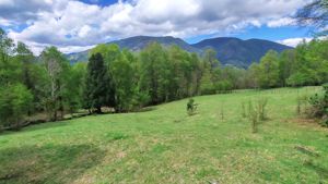 Última Oportunidad de inversión cerca de Pucón - Parcela 5.000 m², La Araucanía, Pucón, foto 1