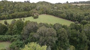 Parcela de 5.000 m² con casa en construcción, bosque nativo y río interior en Curaco de Vélez, Chiloé, Los Lagos, Quinchao, foto 3
