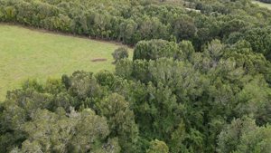 Parcela de 5.000 m² con casa en construcción, bosque nativo y río interior en Curaco de Vélez, Chiloé, Los Lagos, Quinchao, foto 2