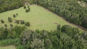 Parcela de 5.000 m² con casa en construcción, bosque nativo y río interior en Curaco de Vélez, Chiloé, Los Lagos, Quinchao, foto 9