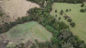 Parcela de 5.000 m² con casa en construcción, bosque nativo y río interior en Curaco de Vélez, Chiloé, Los Lagos, Quinchao, foto 8
