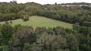 Parcela de 5.000 m² con casa en construcción, bosque nativo y río interior en Curaco de Vélez, Chiloé, Los Lagos, Quinchao, foto 4