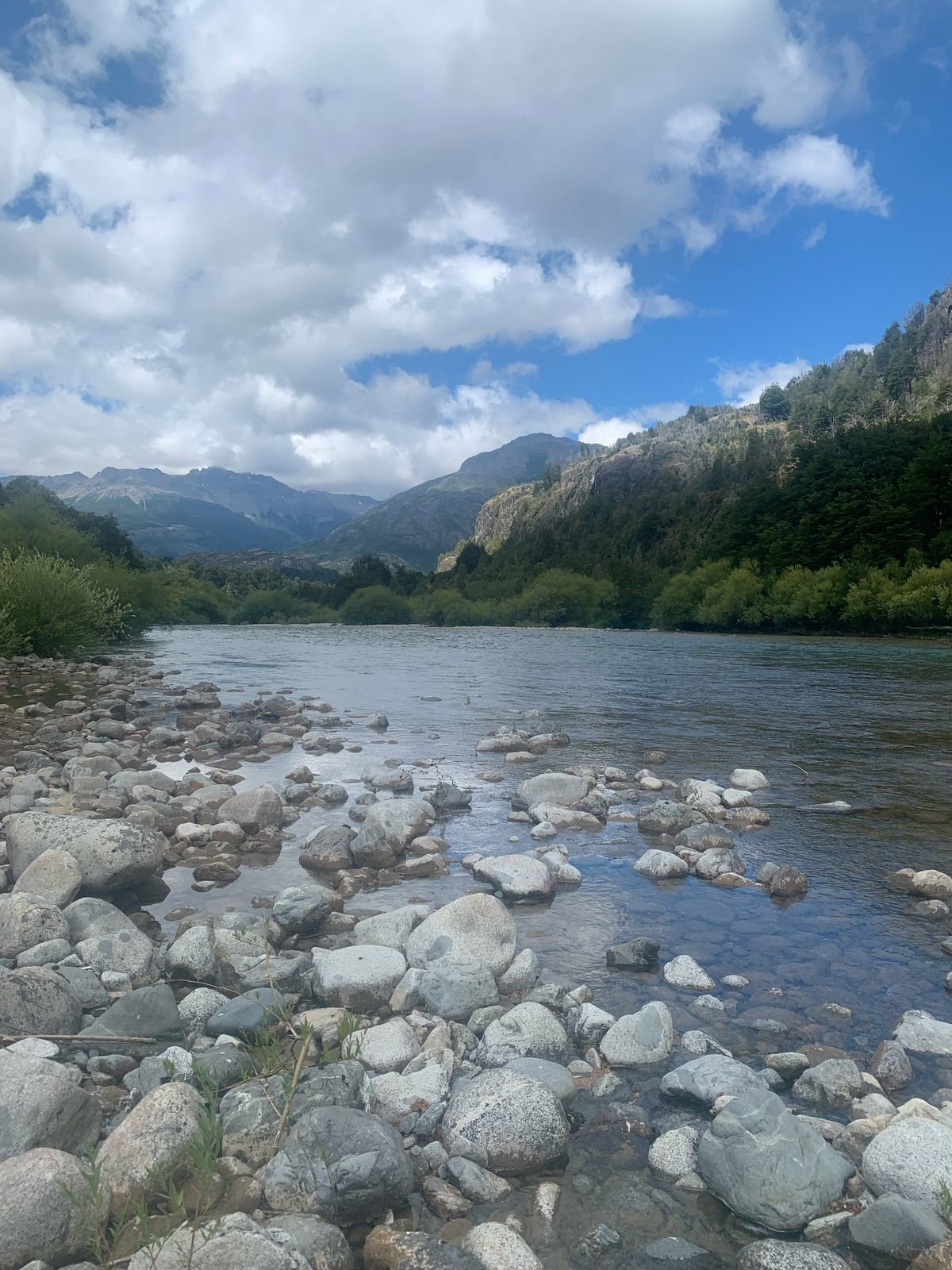 PARCELA 0,5 HA A ORILLA DEL RÍO ESPOLÓN – FUTALEUFÚ | 1.220 UF, Los Lagos, Futaleufú
