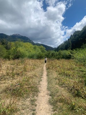 PARCELA 0,5 HA A ORILLA DEL RÍO ESPOLÓN – FUTALEUFÚ | 1.220 UF, Los Lagos, Futaleufú, foto 2