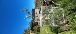 Venta parcela, Maule, Linares, foto 11