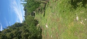 Venta parcela, Maule, Linares, foto 3