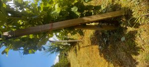 Venta parcela, Maule, Linares, foto 7