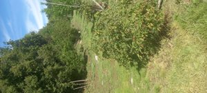 Venta parcela, Maule, Linares, foto 4