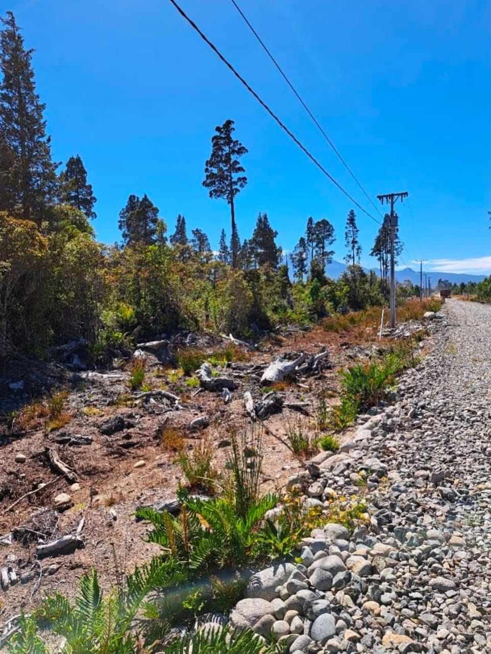 🌿 PARCELA 5.000 m² | VISTA AL VOLCÁN OSORNO | A MINUTOS DE PUERTO VARAS, Los Lagos, Puerto Montt