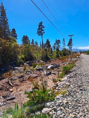 🌿 PARCELA 5.000 m² | VISTA AL VOLCÁN OSORNO | A MINUTOS DE PUERTO VARAS, Los Lagos, Puerto Montt, foto 1