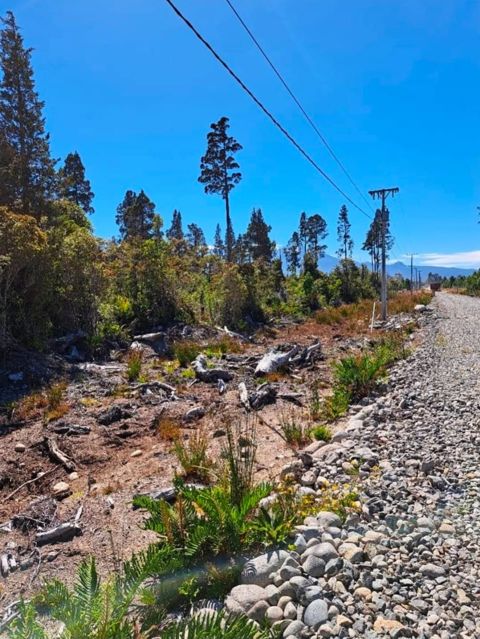 🌿 PARCELA 5.000 m² | VISTA AL VOLCÁN OSORNO | A MINUTOS DE PUERTO VARAS