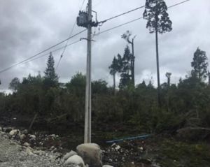 🌿 PARCELA 5.000 m² | VISTA AL VOLCÁN OSORNO | A MINUTOS DE PUERTO VARAS, Los Lagos, Puerto Montt, foto 3