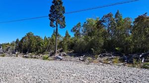 🌿 PARCELA 5.000 m² | VISTA AL VOLCÁN OSORNO | A MINUTOS DE PUERTO VARAS, Los Lagos, Puerto Montt, foto 2
