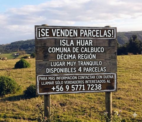 Parcelas desde 5000 metros ²