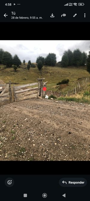 Parcelas disponibles a 15 minutos de coyhaique, Aysén, Coyhaique, foto 3