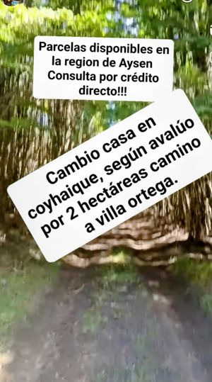 Parcelas disponibles a 15 minutos de coyhaique, Aysén, Coyhaique, foto 4