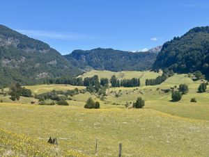 Reserva Laguna Mercedes | Coyhaique, Aysén, Coyhaique, foto 5