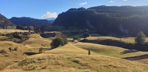 Reserva Laguna Mercedes | Coyhaique, Aysén, Coyhaique, foto 3